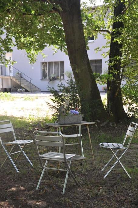 Gite St Nicolas Ancien Corps De Ferme Horticole Freyming-Merlebach Zewnętrze zdjęcie